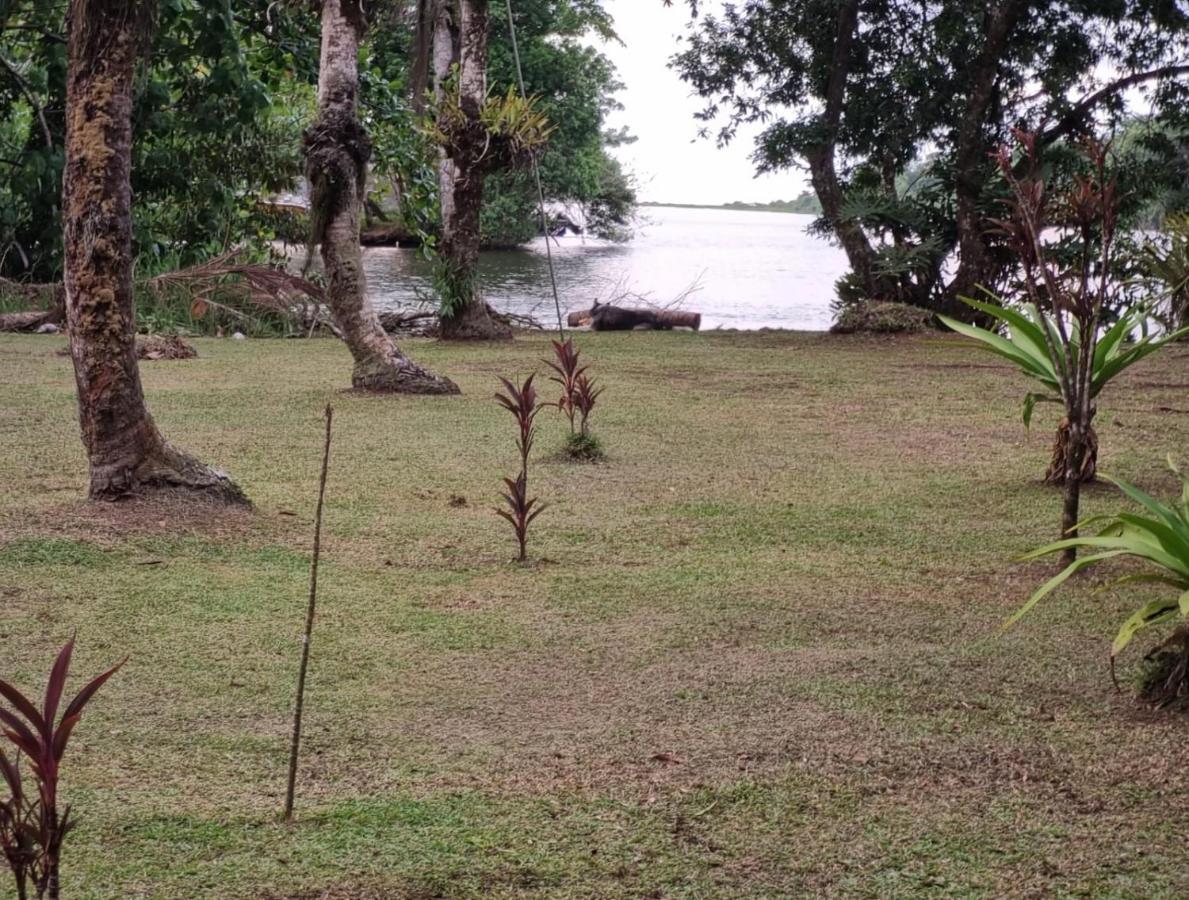 Cabinas Tortuguero Sports Fishing Exterior foto
